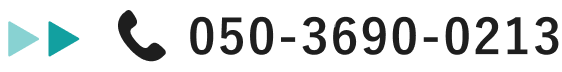 050-3690-0213